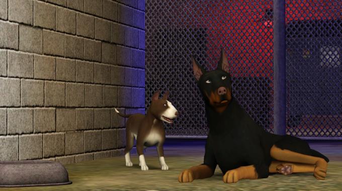 Sims 3 Pets Iso Download
